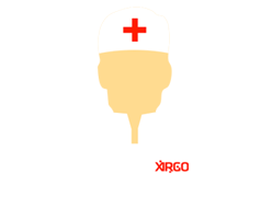 Emergency IT Support