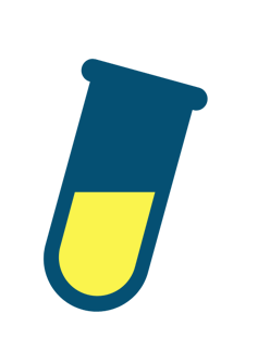 Custom IT Solutions